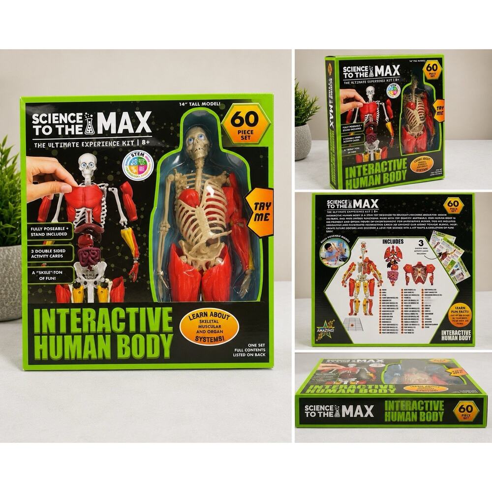 Science To The Max Interactive Human Body STEM Kit 60 Piece Set 14” Model NIB